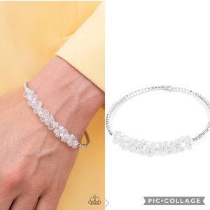 🐾 BAUBLY Personality✨